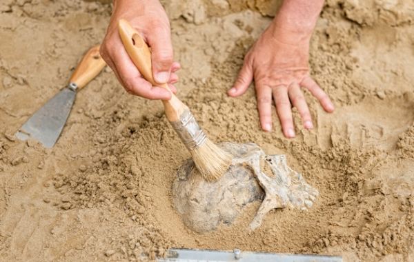 Стародавня загадка: у найстарішому похованні Швеції відсутні всі черепи
