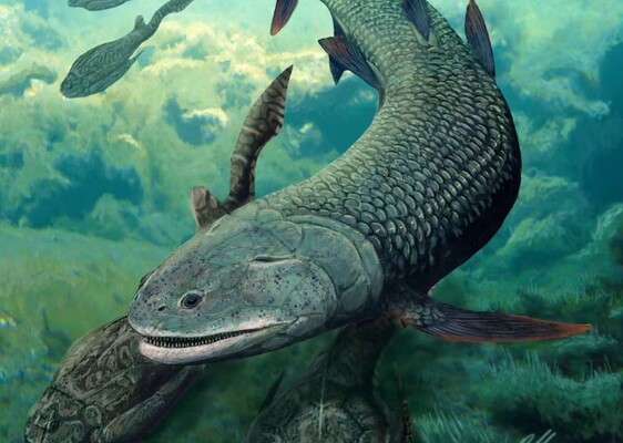 Дихала повітрям: вчені виявили доісторичну рибу з іклами та чотирма «ногами»