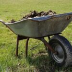 Тільки нашкодите: чим восени не потрібно удобрювати землю на ділянці