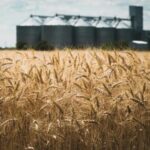 Чому Україна у воєнний час втрачає мільярди доларів інвестицій: що заважає розквіту…