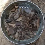 Люди сучасного типу, неандертальці та денисівці зупинялися в одній печері…