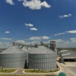 Очільниця «ПриватБанку» пролобіювала продаж порту «Боріваж» для Тігіпка за найнижчою ціною — Мартинов