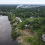 Мікроби, які можуть впливати на клімат – вчені знайшли в Амазонії новий вид бактерій