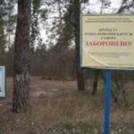 Рада ухвалила нову заборону для водіїв: за що тепер можна отримати до 10…