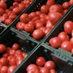 В Україні подешевшав популярний овоч: в чому причина