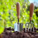 Урожай забезпечить Місяць: календар городника на червень-2025