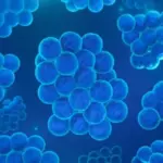 Стійкість до антибіотиків бактерії мали ще мільйони років тому