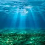 Світовий океан потемнішав на 21 відсоток – вчені пояснюють вплив на морських істот