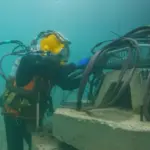 У Великій Британії збудували підводний готель для крабів