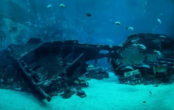 Морські археологи дослідили скарби з легендарного корабля, який потонув три століття тому