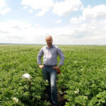 Чому ціни на молоду українську картоплю вдвічі вищі, аніж на завезену з Єгипту: роз’яснення фахівця