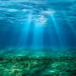 Торгівля 3200 років тому — мушлі та кераміка розкрили зв’язки…