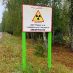 Соняшники з радіацією: на Житомирщині розкрили схему торгівлі з “чорнобильських”…