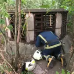 У Харкові рятувальники врятували трьох підлітків з вентиляційної шахти –…