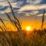 Україна завершить серпень як одна із найспекотніших країн Європи –…