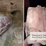 Бивень мамонта знайшли на Полтавщині — рештки виявили в селі Заріг — новини археології