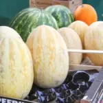 Дині з нітратами продавали на Гомельщині: хто привіз і де…