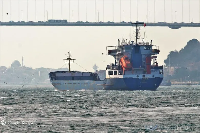 В Одеській області в Чорному морі пошкоджено суховантаж – здетонував невідомий пристрій