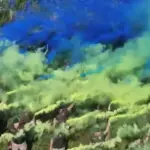 У Львові прикордонники створили живий прапор на висоті 294 метри