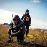 «Дія» розпочинає сертифікацію операторів протимінної діяльності