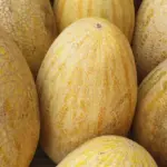 Ці 3 продукти категорично не можна їсти з динею: один…