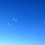 П'ять російських винищувачів помітили над Балтійським морем, літаки НАТО підняли…