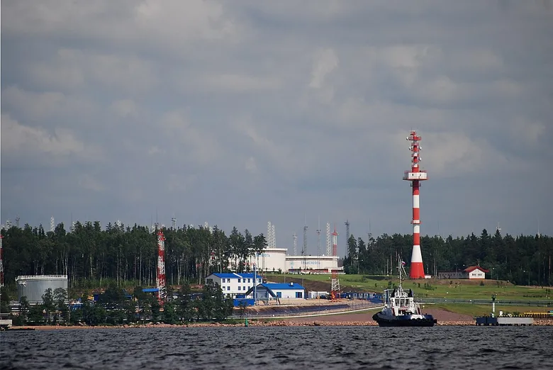 Дрони СБУ уразили ключовий експортний порт в Росії Приморськ – джерела