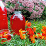 Шампанське Marigold: ароматний та оригінальний напій