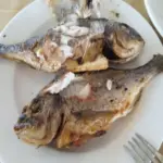 Чи можна їсти одночасно рибу та молоко: міф чи реальна…