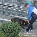 Чоловік побив собаку на вулиці в Києві: йому загрожує штраф…