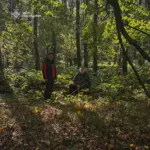 Він пішов збирати гриби і не повернувся: тіло грибника знайшли…
