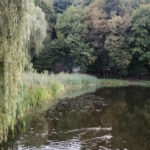 Вітри з Балкан “роздують” спеку в Україні: синоптики прогнозують підвищення…