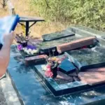В Одесі затримали чоловіка за пошкодження майже 30 пам'ятників на…