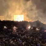 Окупанти завдали удару по коньячному виробництву AZNAURI в Одеській області