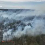 На Хортиці сталася масштабна пожежа: горить лісова підстилка, суха трава…