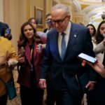 Приостановка работы правительства в 2025 году: угроза Трампа уволить федеральных…