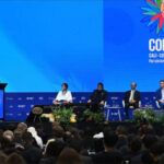 Ліси Вірменії зникають: тривожний сигнал напередодні COP 17