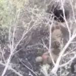Росіяни знову залізли в трубу. Що відбувається в Куп'янську?
