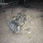 Російські війська атакували Кропивницький район: пожежі спалахнули на трьох об'єктах…
