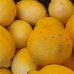 Що буде, якщо пити воду з лимоном щодня