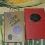 Диктаторський роман – Що це за літературна традиція та які…