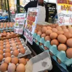 Україна домінує на британському ринку яєць, що викликає гнів місцевих…