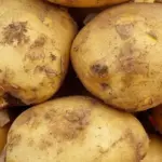 Який популярний овоч викликає різкий стрибок цукру в крові: і…