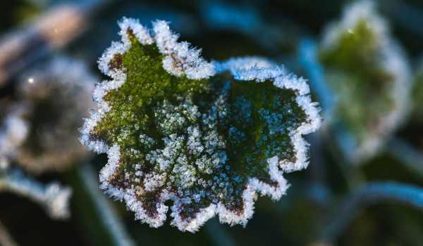 Холодова алергія: що це і як упоратися з проблемою