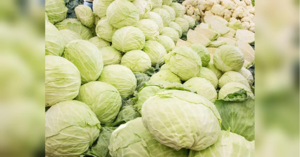 На 85% дешевше, ніж торік: в Україні різко впала ціна&hellip;