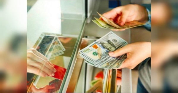 Українці активніше купують готівкову валюту: поради щодо придбання доларів за привабливим курсом