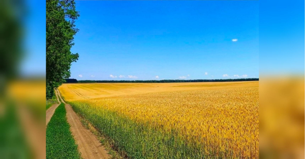 30 мільйонів рублів до військового бюджету РФ: преса про екс-посадовця&hellip;