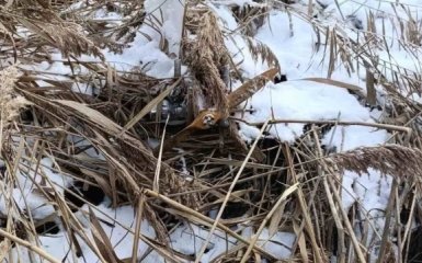 Російський безпілотник виявили на узбережжі озера в Молдові