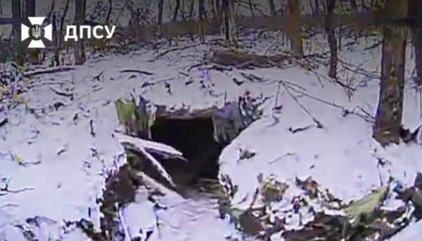 Воїни “Сталевого рубежу” дронами ліквідували російську техніку та схованки на…