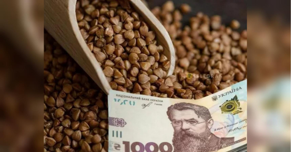 Подорожчання гречки: понад 50 гривень за кілограм прогнозують українцям